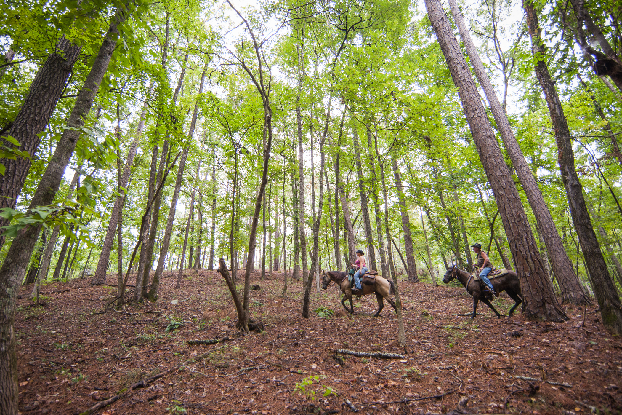 Governor Ivey Awards $1.64 Million to Enhance Outdoor Recreation in Alabama